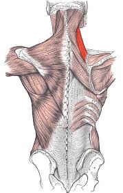 Crick in hotsell neck after sleeping