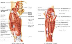 Knee Pain from Driving: Unveiling the Causes and Solutions